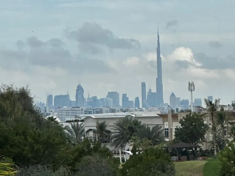 Panoramic Golf Course View | Roof Top | Basement